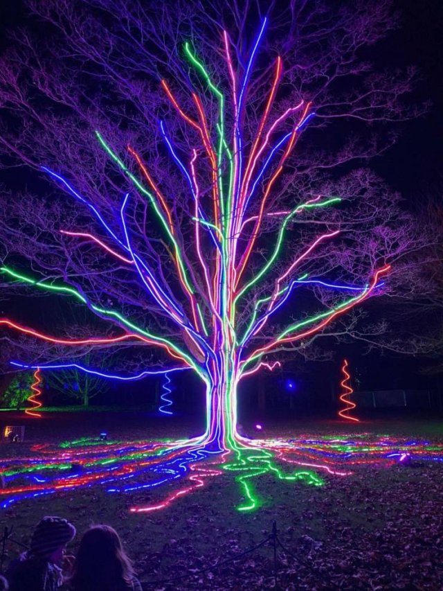 Acid Picdump. Part 1 (92 pics)