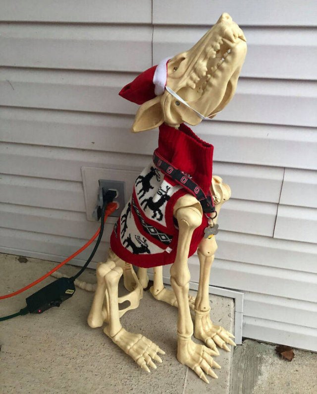 Frank The Christmas Gargoyle (50 pics)