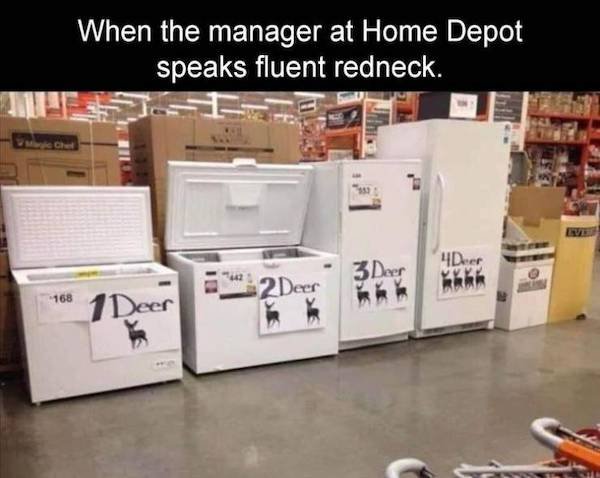 How To Identify American (35 pics)
