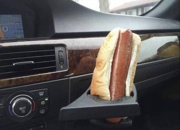 How To Identify American (35 pics)