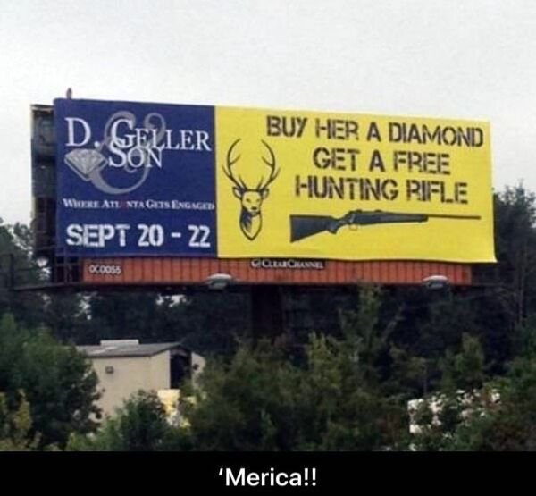How To Identify American (35 pics)