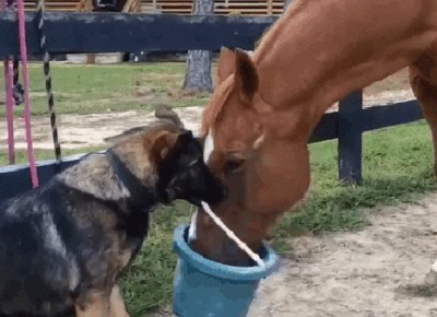 Acid Gifdump, December 16 (25 gifs)