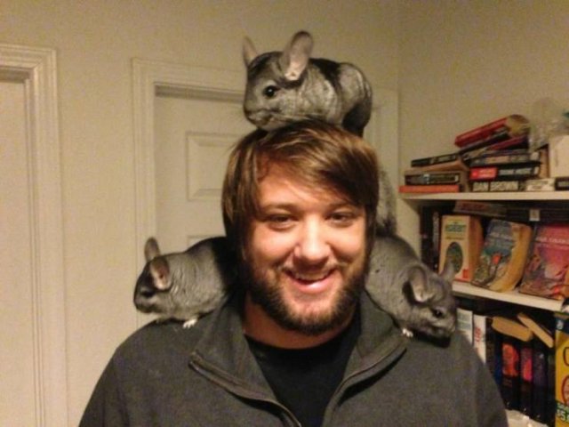 Acid Picdump. Part 1 (54 pics)