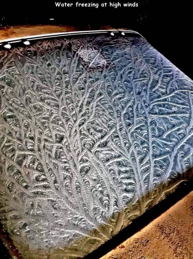 Acid Picdump. Part 2 (50 pics)