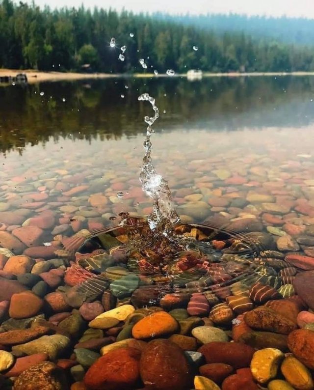 Acid Picdump. Part 1 (54 pics)