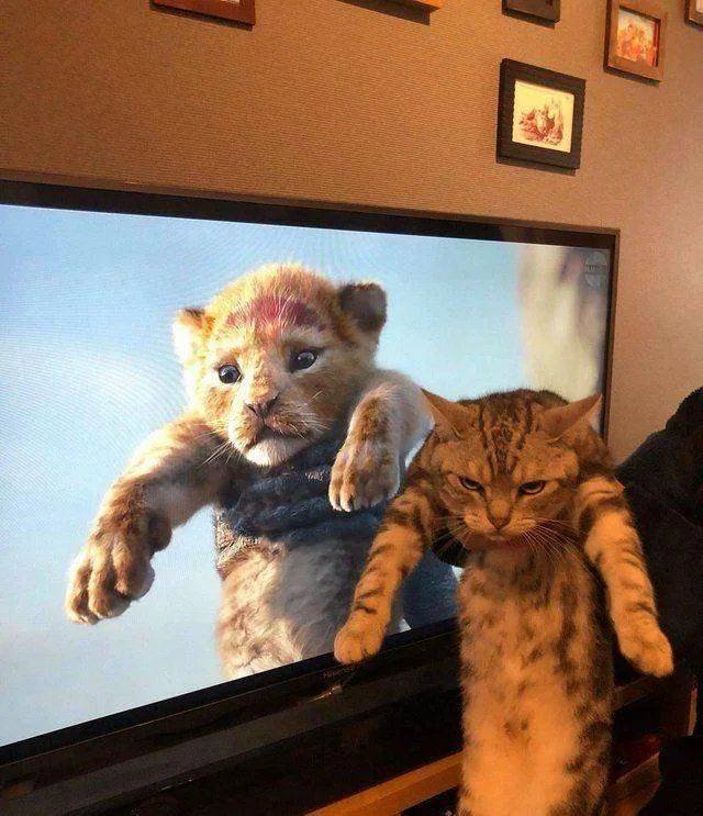 Acid Picdump. Part 2 (50 pics)