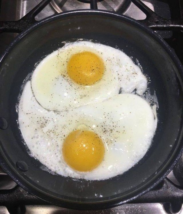 Fits Perfectly (27 pics)