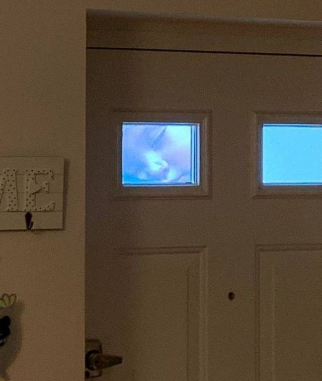 Fits Perfectly (27 pics)