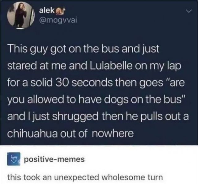 That Was Unexpected (37 pics)
