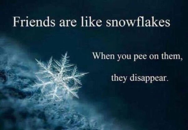 Hilarious Memes (28 pics)