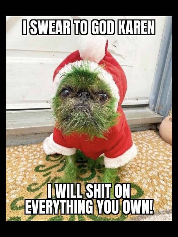 Funny Animals (52 pics)