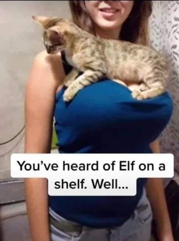 Hilarious Memes (28 pics)