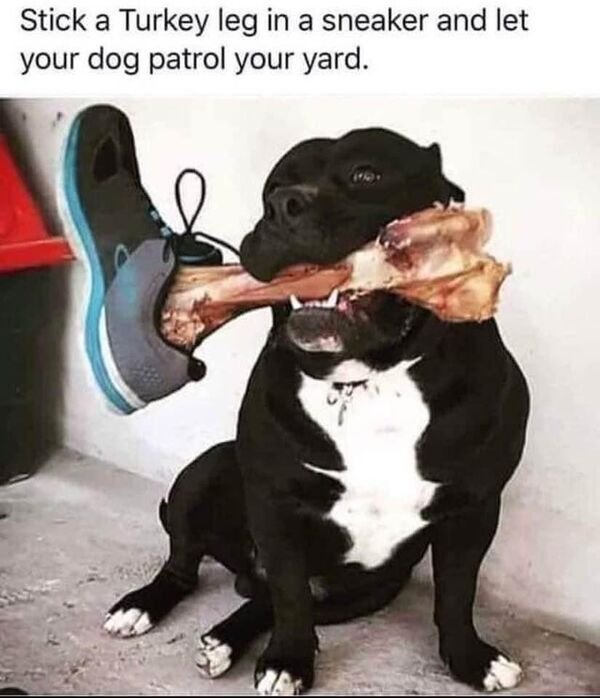 Hilarious Memes (28 pics)
