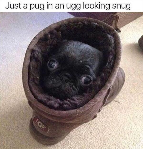 Hilarious Memes (28 pics)