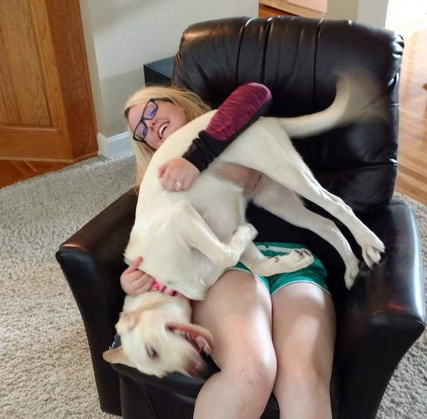 Funny Animals (52 pics)
