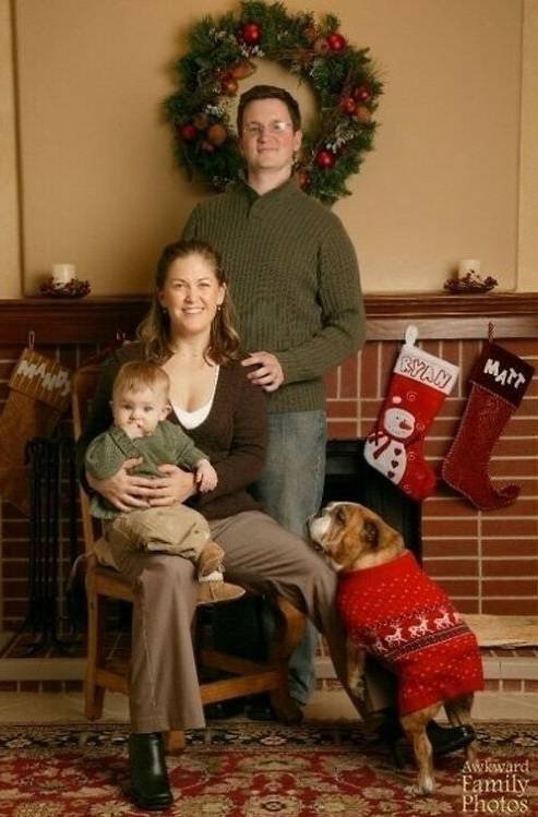 Strange Christmas Family Photos (46 pics)