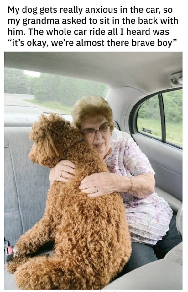 These Grandparents Are So Great (28 pics)