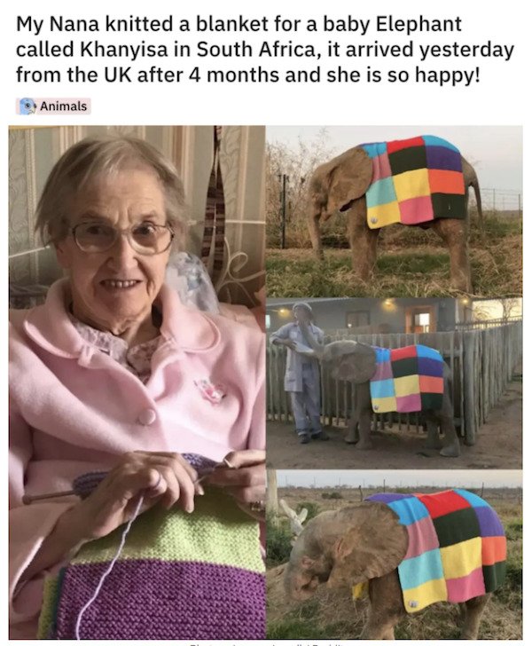 These Grandparents Are So Great (28 pics)