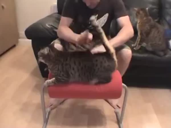 He Seems To Like It