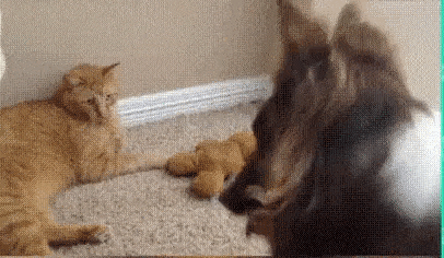 Acid Gifdump, December 18 (25 gifs)