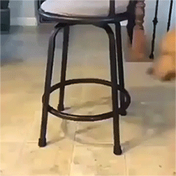 Acid Gifdump, December 18 (25 gifs)