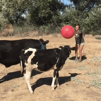 Acid Gifdump, December 18 (25 gifs)