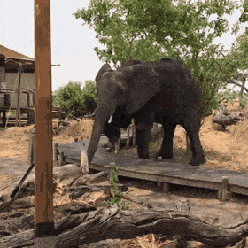 Acid Gifdump, December 18 (25 gifs)