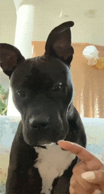 Acid Gifdump, December 18 (25 gifs)