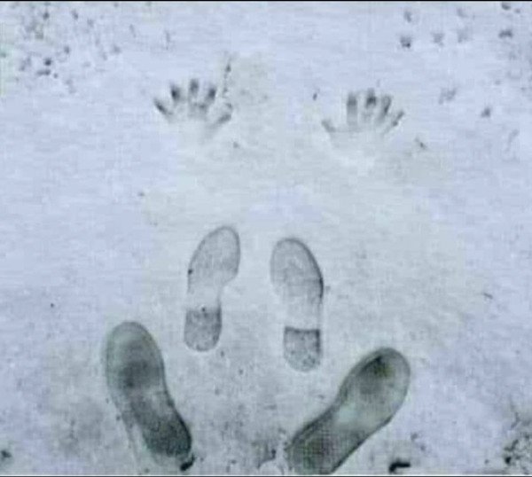 Almost Nailed It (38 pics)