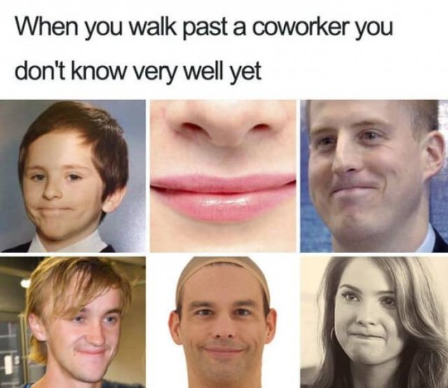 Coworker Memes (24 pics)