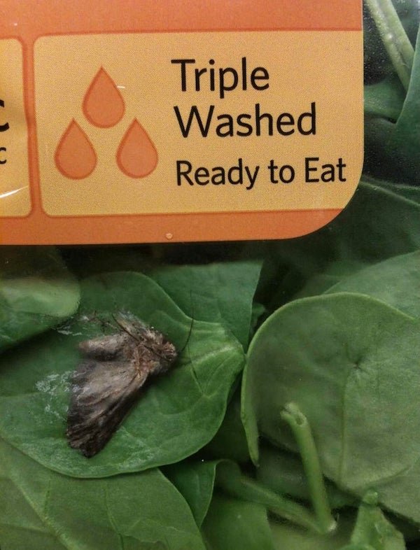 Almost Nailed It (35 pics)