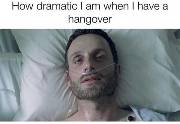 Alcohol Memes And Pictures (29 pics)