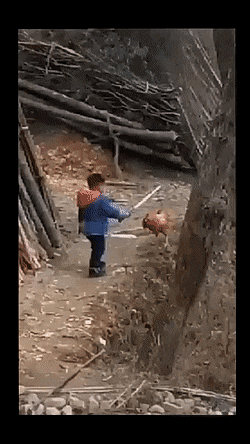 Acid Gifdump, December 21 (25 gifs)