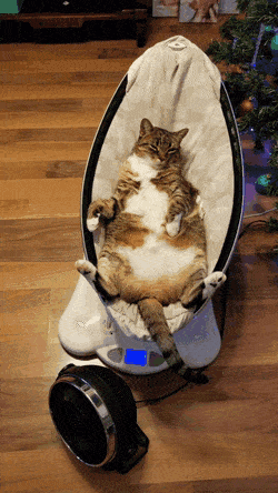 Acid Gifdump, December 21 (25 gifs)