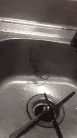 Acid Gifdump, December 21 (25 gifs)