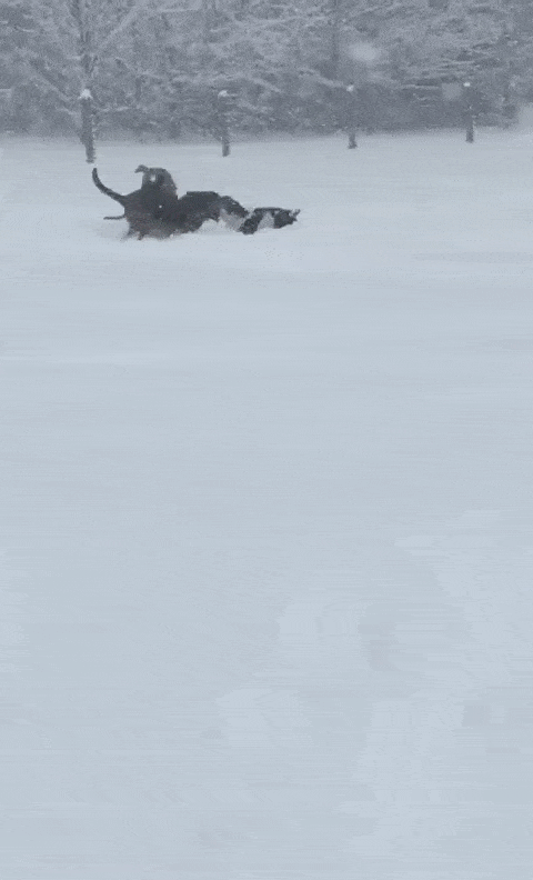 Acid Gifdump, December 21 (25 gifs)
