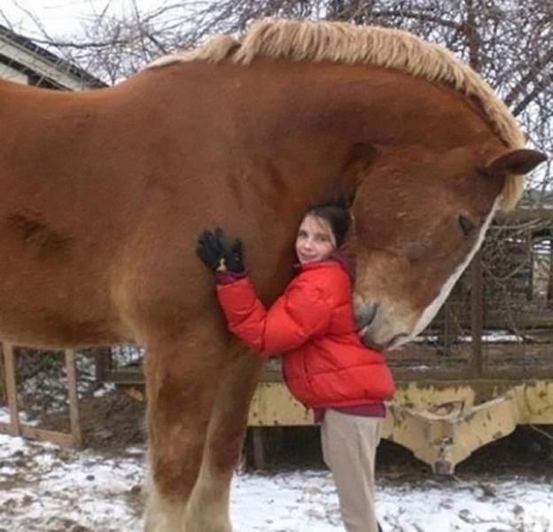 Comparison Matters (49 pics)