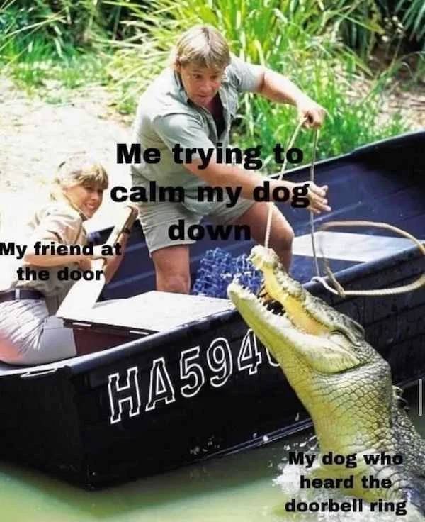 Dog Memes (33 pics)