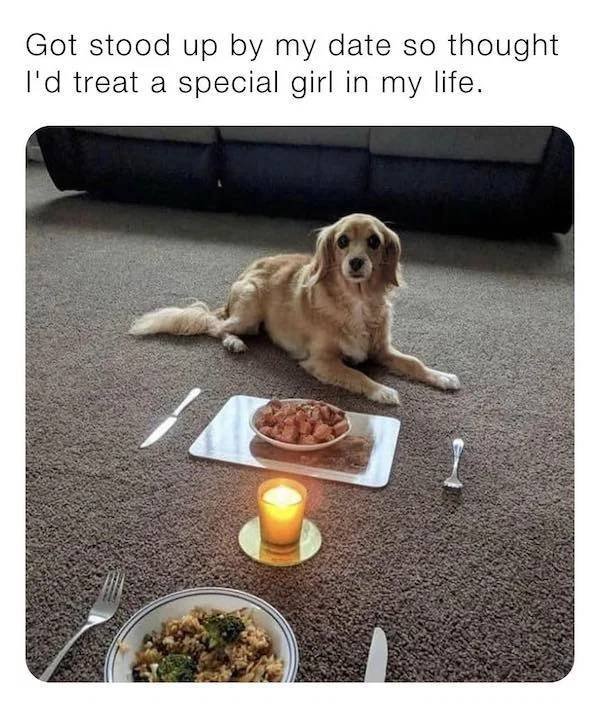 Dog Memes (33 pics)