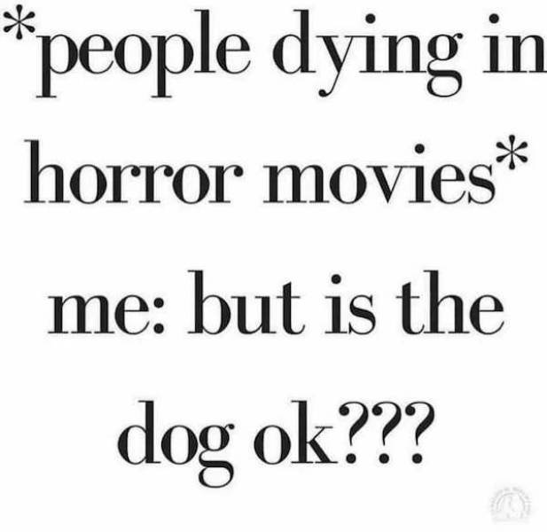Dog Memes (33 pics)