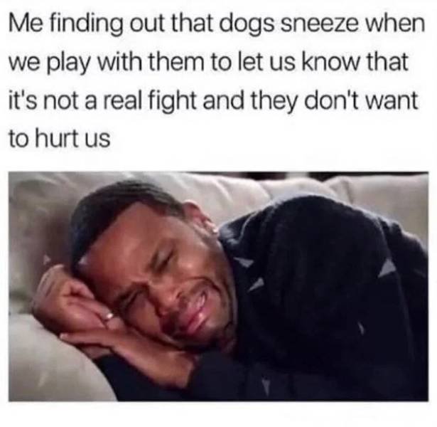 Dog Memes (33 pics)