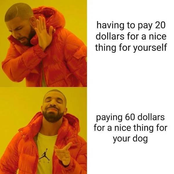 Dog Memes (33 pics)