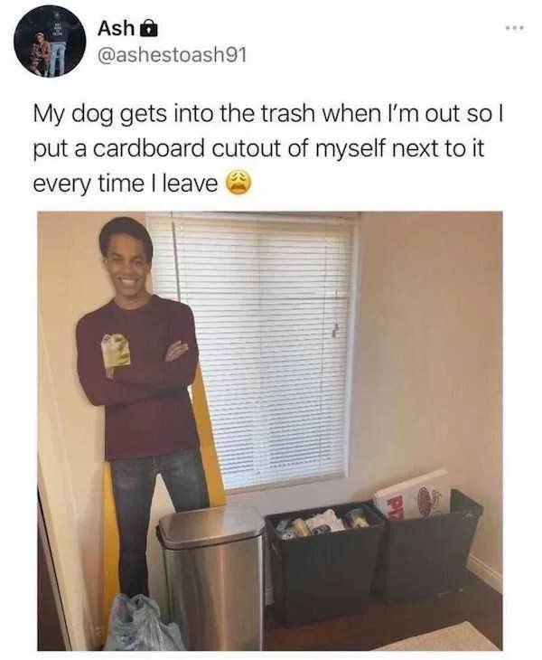 Dog Memes (33 pics)