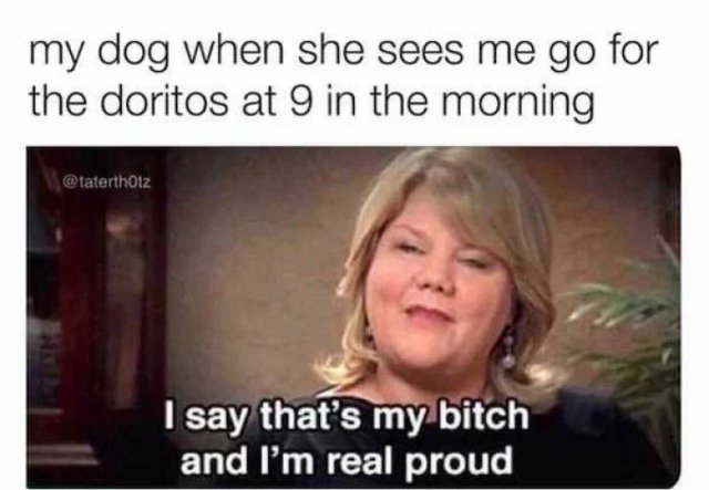 Dog Memes (33 pics)