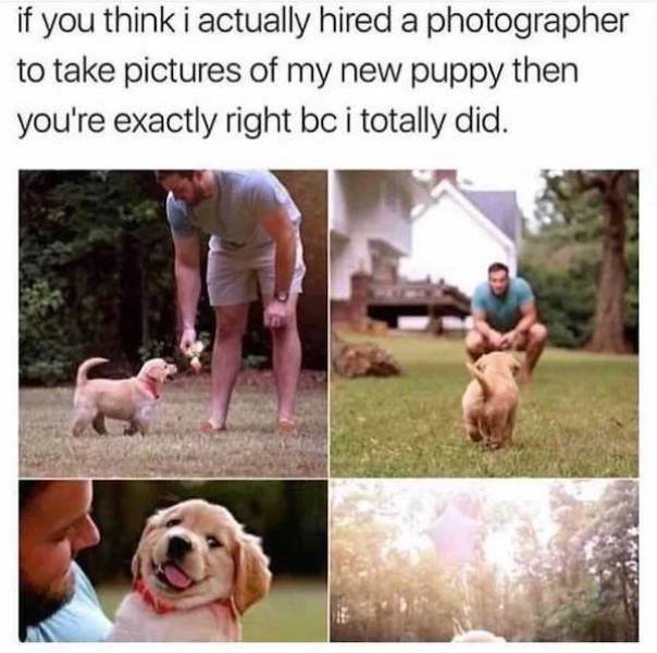 Dog Memes (33 pics)