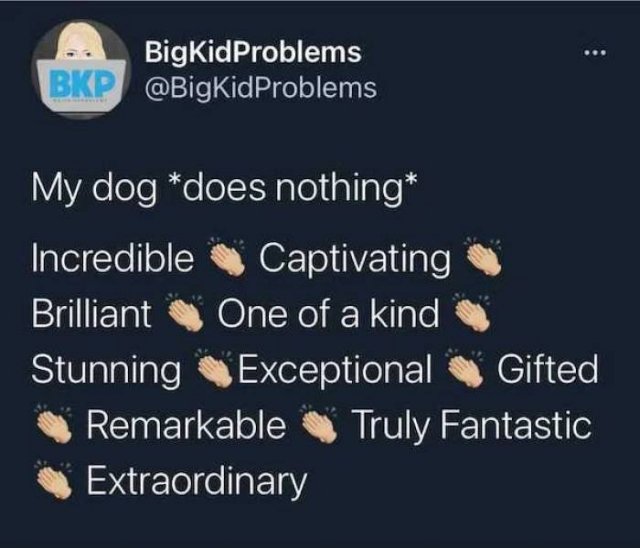 Dog Memes (33 pics)
