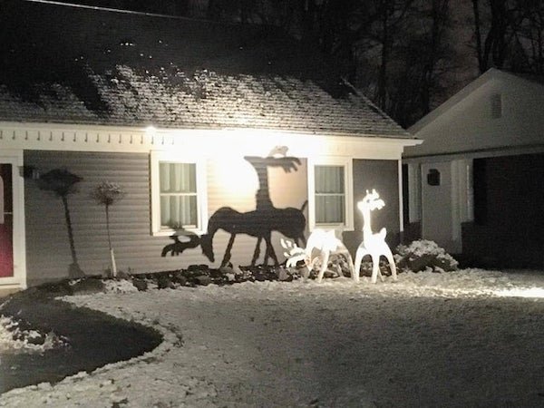 Dirty Humor (37 pics)