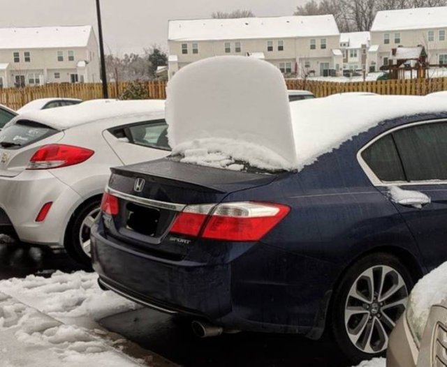It's Winter Time (42 pics)