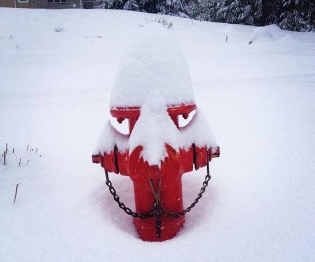 It's Winter Time (42 pics)