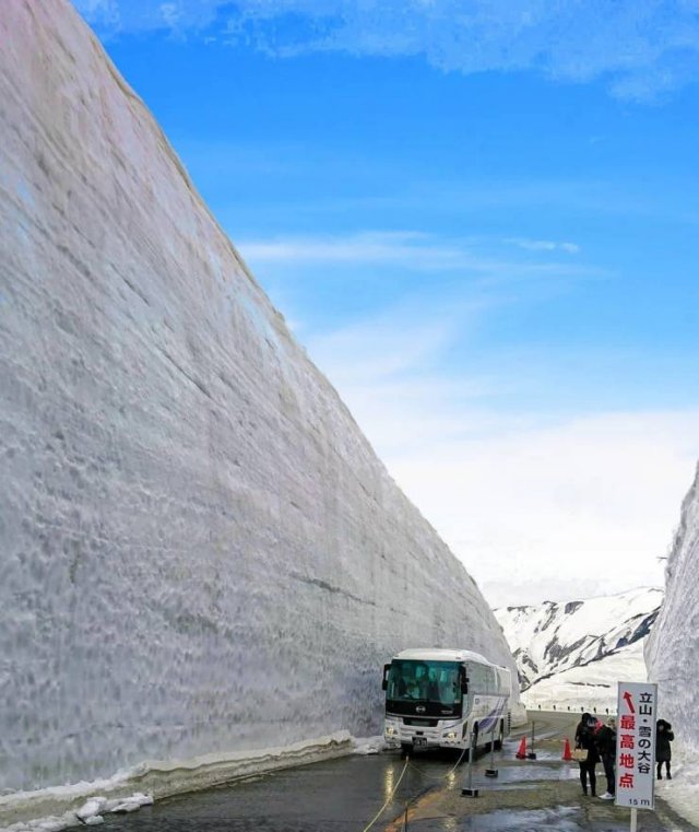 It's Winter Time (42 pics)
